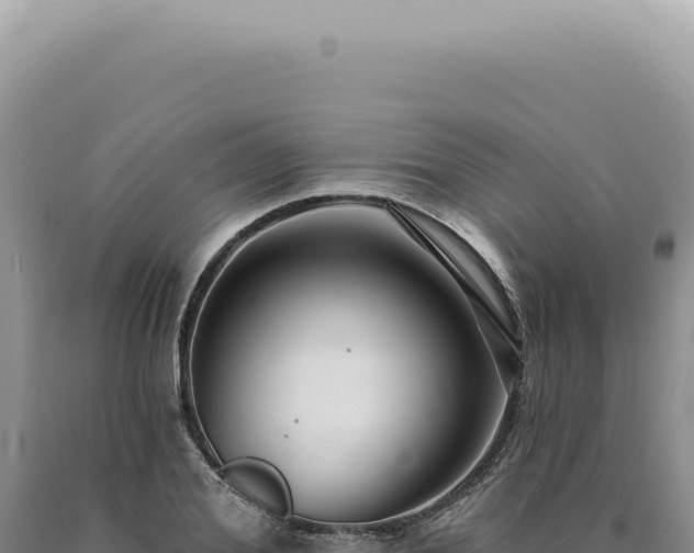 X0000090770980200707271524