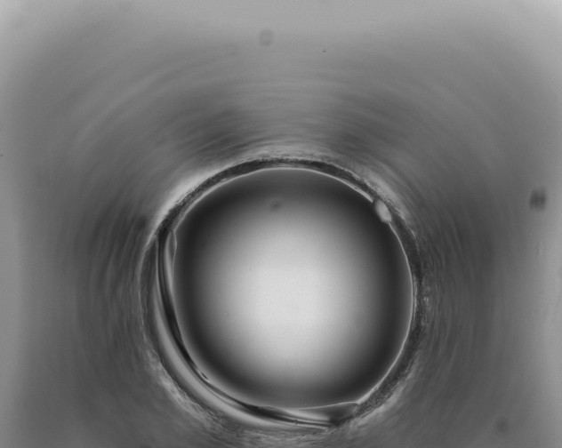 X0000090770981200707271524