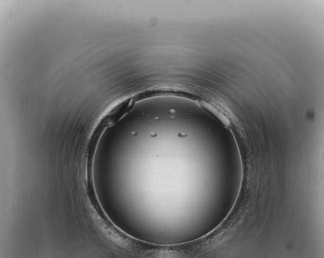 X0000090770984200707271524