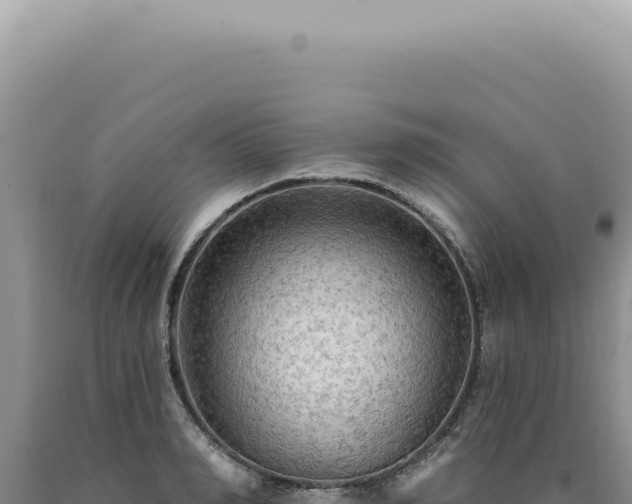 X0000090770990200707271523