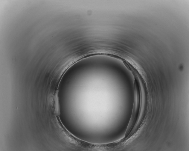 X0000090770993200707271523