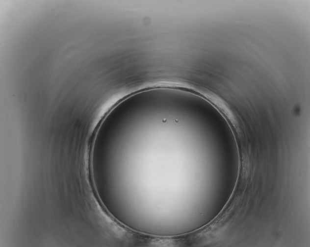 X0000090771006200707271523