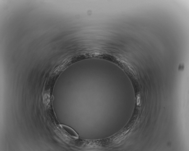 X0000090771011200707271522
