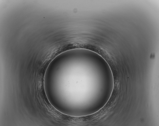 X0000090771012200707271522