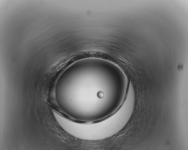 X0000090771014200707271522