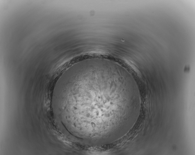 X0000090771015200707271522