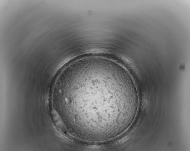 X0000090771017200707271522