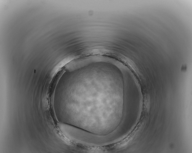 X0000090771018200707271522