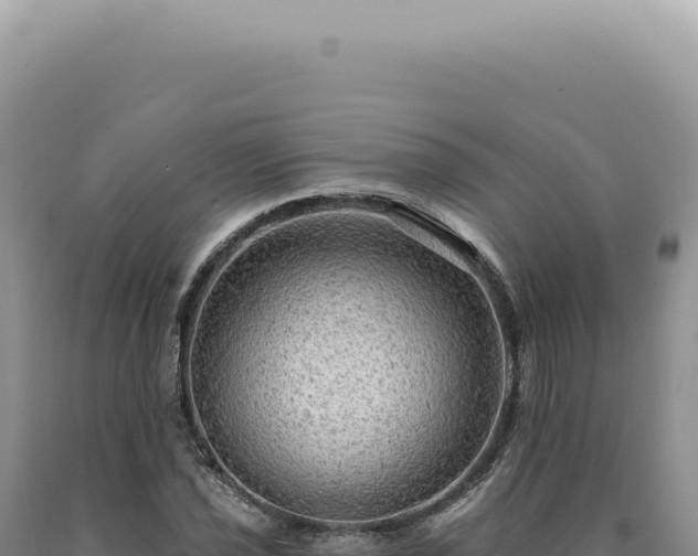 X0000090771021200707271522