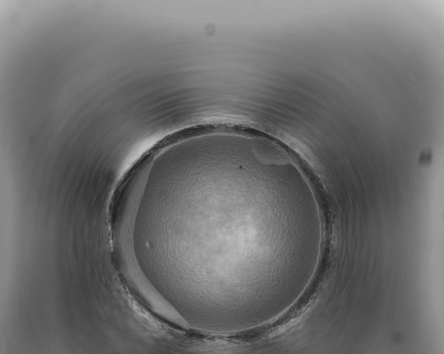 X0000090771022200707271522