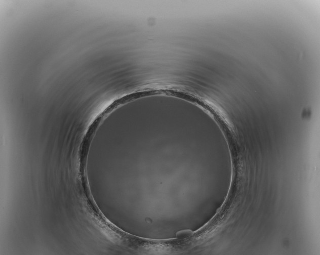X0000090771023200707271523