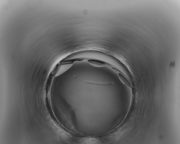 X0000090771024200707271523