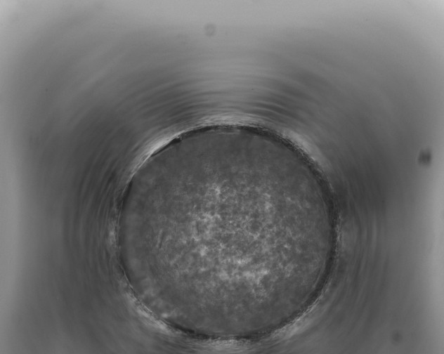 X0000090771025200707271523