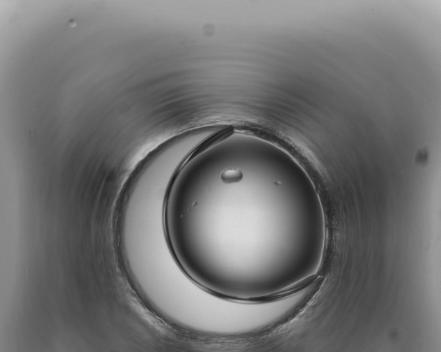X0000090771026200707271523