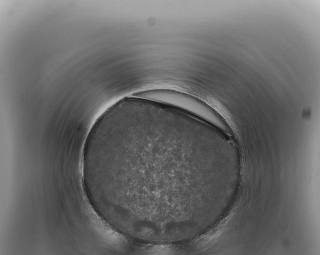 X0000090771028200707271523