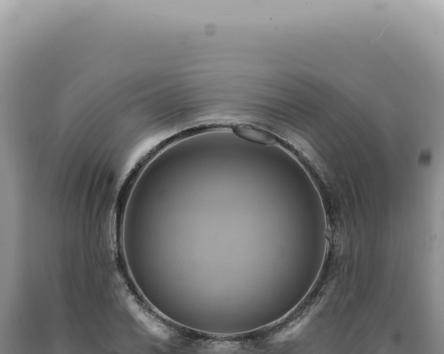 X0000090771030200707271523