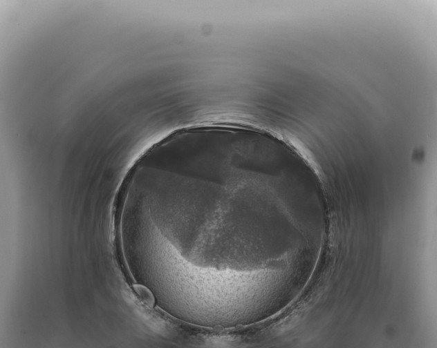 X0000090771031200707271523