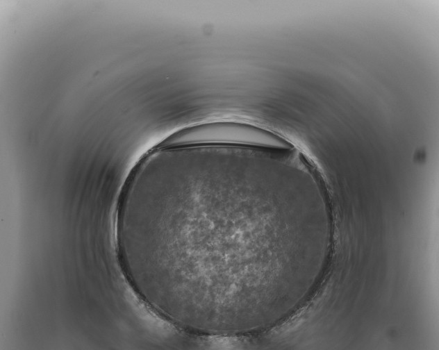 X0000090771032200707271523