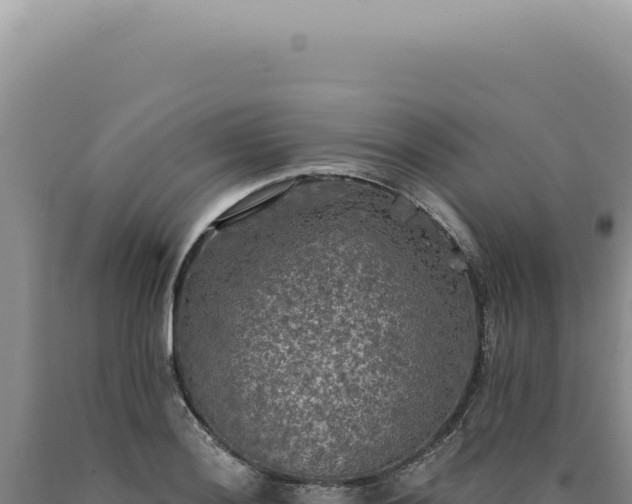 X0000090771036200707271523