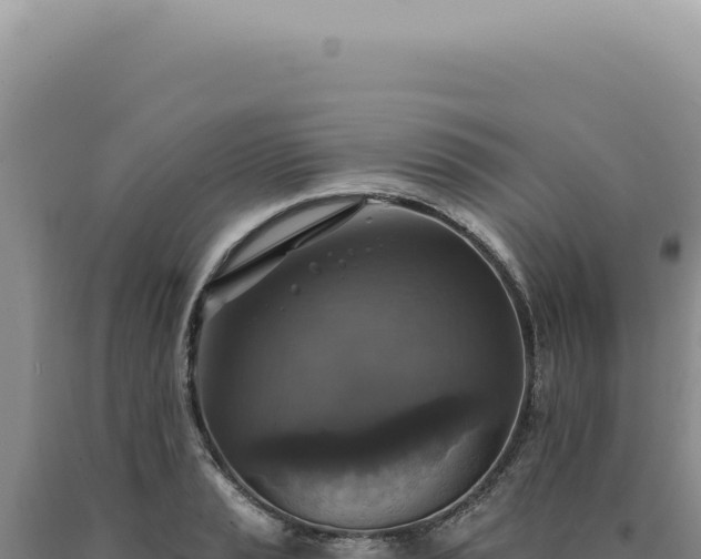 X0000090771037200707271523