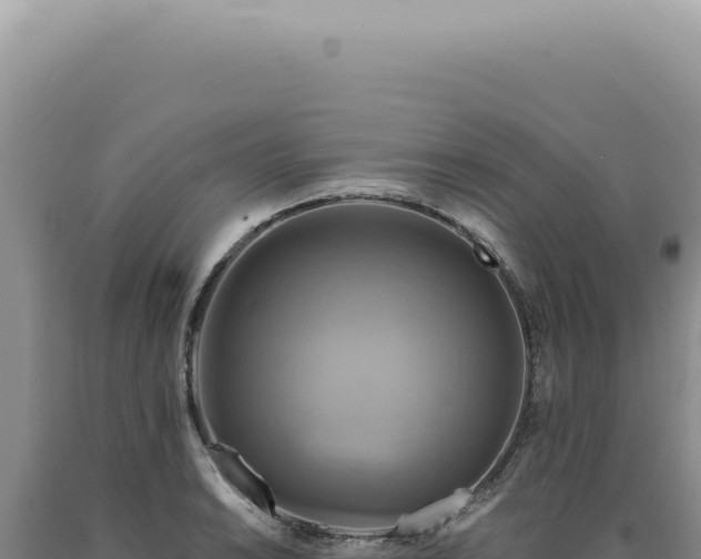 X0000090771038200707271523