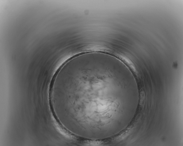 X0000090771039200707271523
