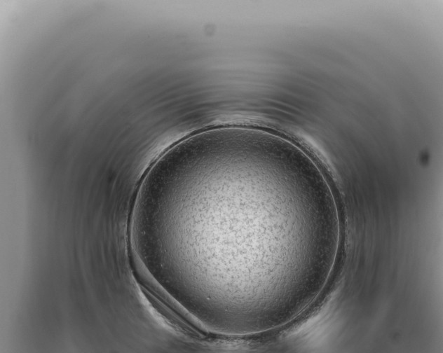 X0000090771041200707271523