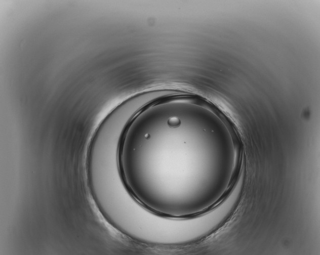X0000090771046200707271523