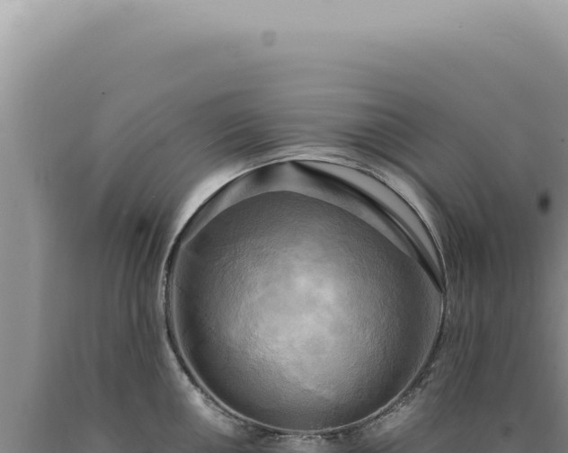 X0000090771050200707271523