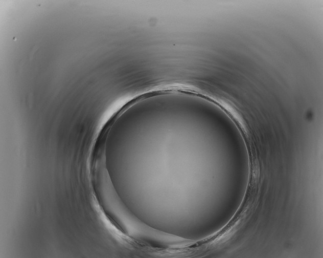 X0000090771054200707271523