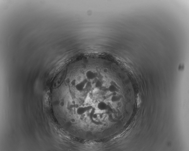 X0000090771059200707271522