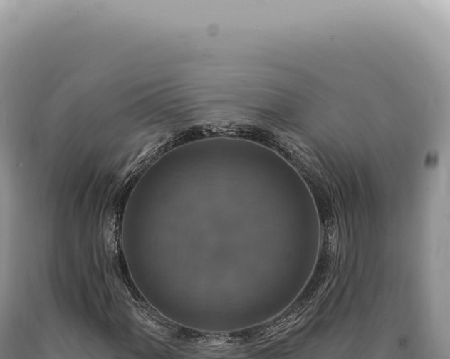 X0000090771060200707271522