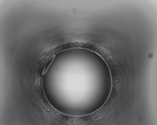 X0000090771061200707271522