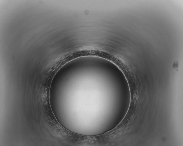 X0000090771062200707271522