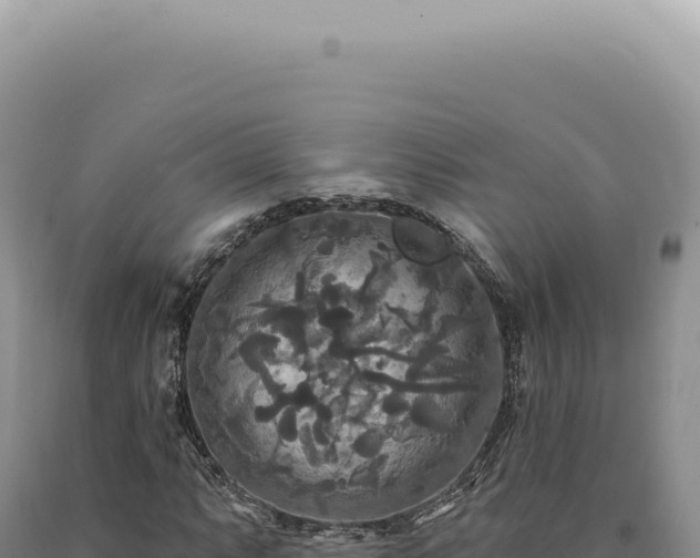 X0000090771063200707271522