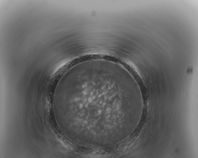 X0000090771064200707271522