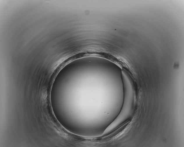 X0000090771065200707271522