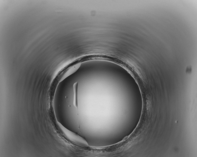 X0000090771069200707271522