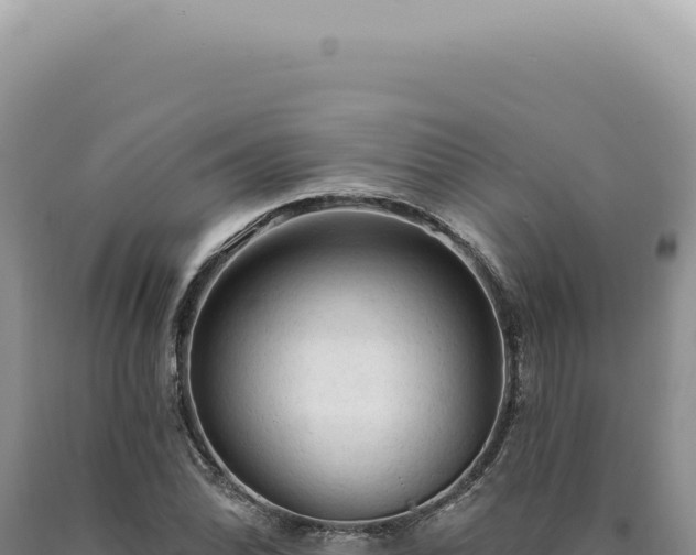X0000090771070200707271522