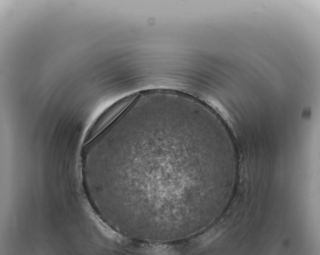 X0000090771072200707271522