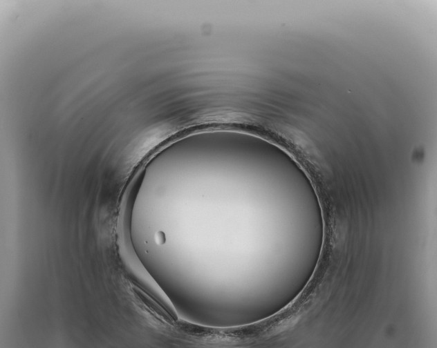 X0000090771073200707271522