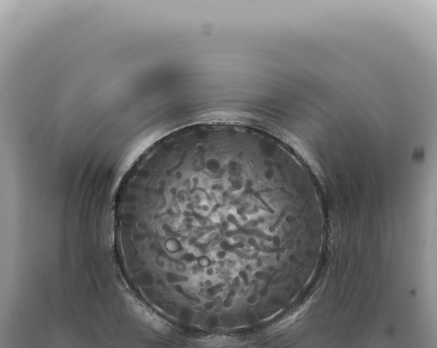 X0000090771075200707271522