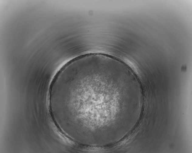 X0000090771076200707271522