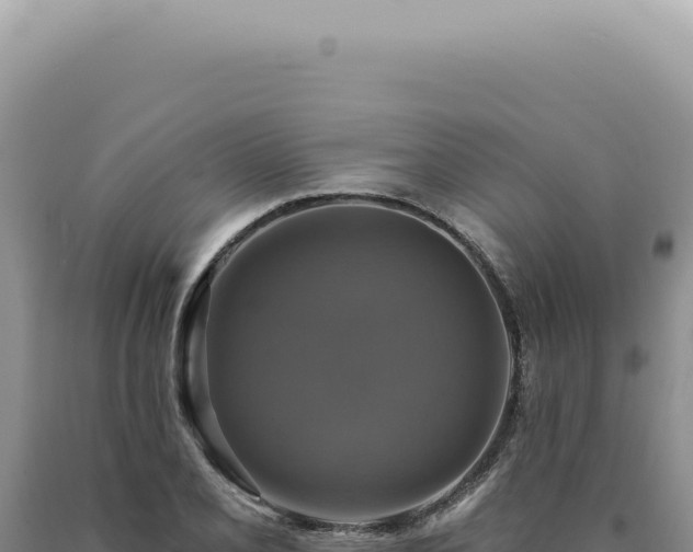 X0000090771077200707271522