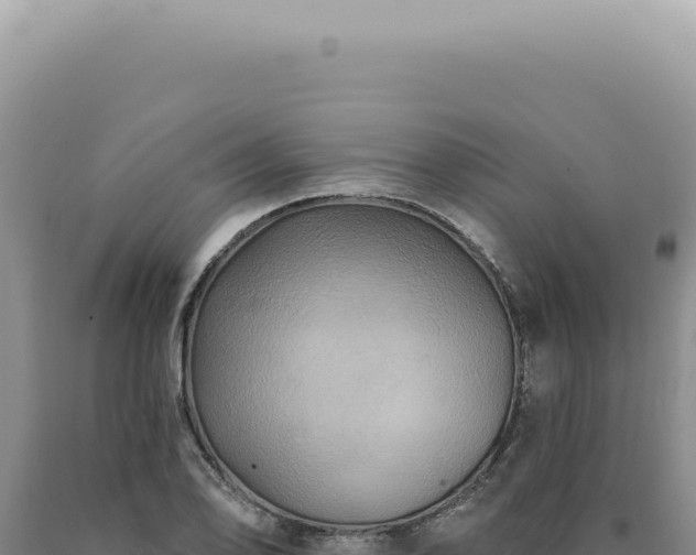X0000090771078200707271522