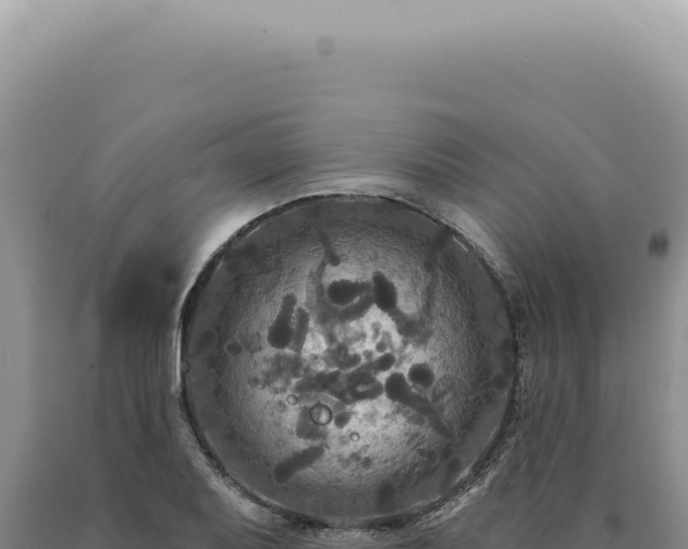 X0000090771079200707271522