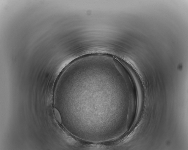 X0000090771081200707271522