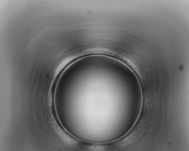 X0000090771082200707271522