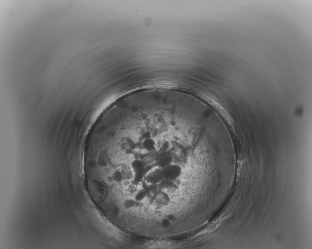 X0000090771083200707271522