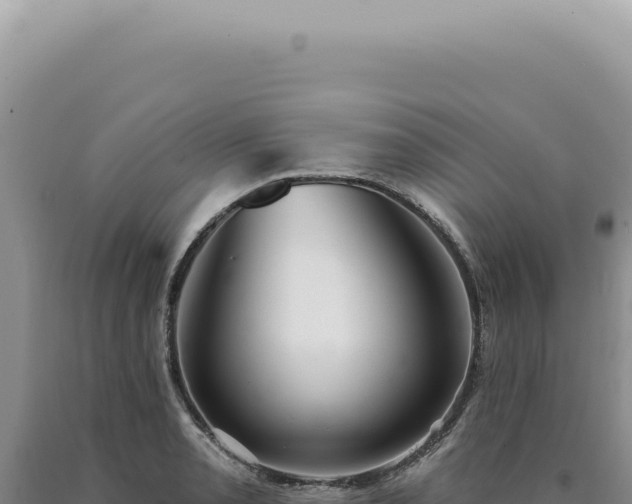 X0000090771085200707271522